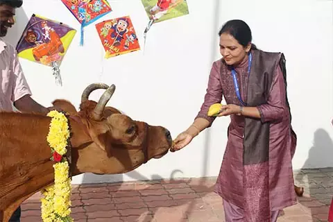 makara-sankranti